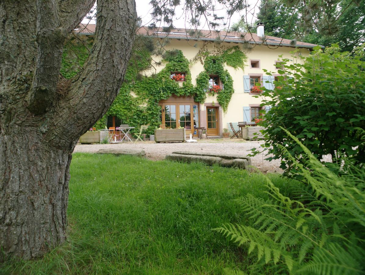 Auberge De La Charriole Taintrux Kültér fotó